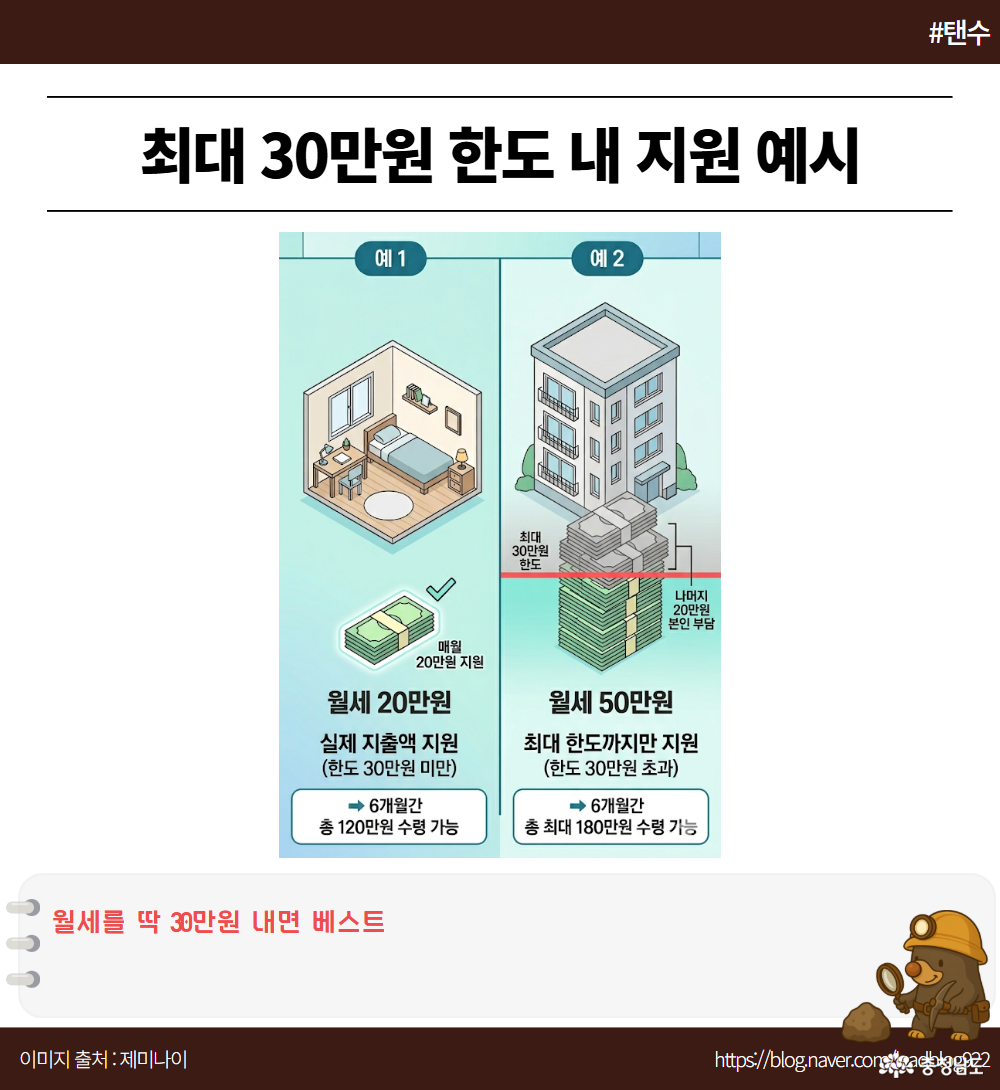 5. 최대 30만원 한도 내 지원 예시