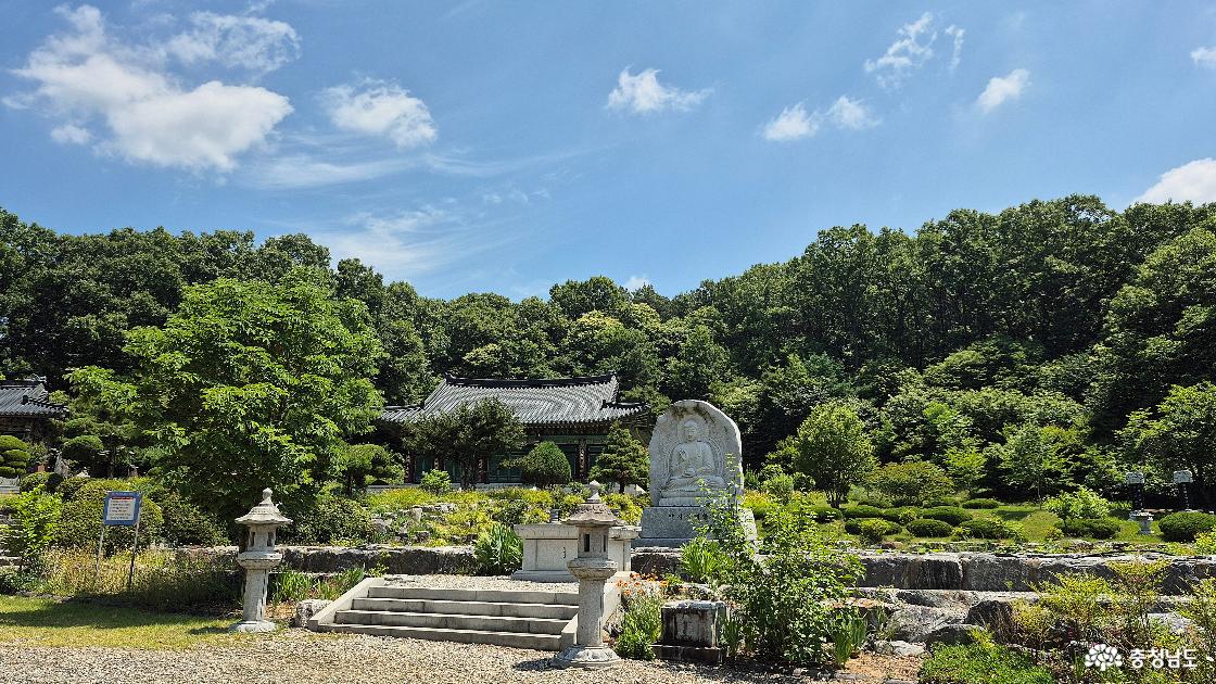 용화사 약사여래불과 주의 풍경