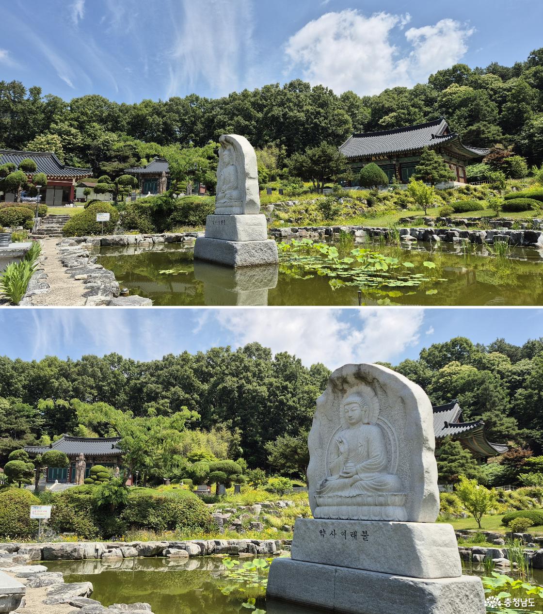 사진 위, 용화사 연못 약사여래불 뒤, 오른쪽부터 대적광전, 대웅전, 요사채 / 아래, 연꽃지 약사여래불