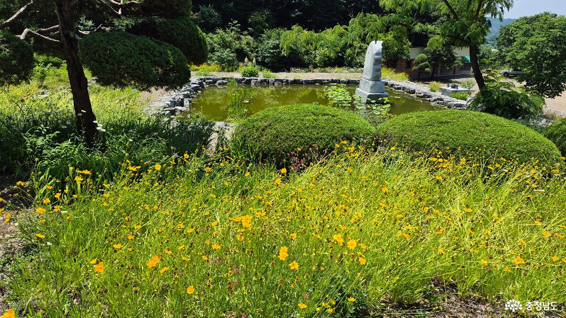 사찰을 둘러보고 내려오면서 바라본 용화사 연못 '연꽃지' 