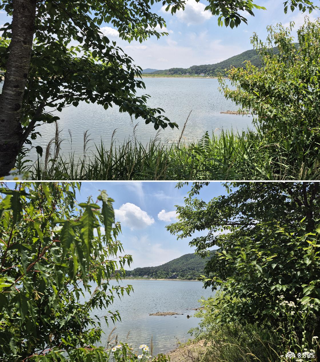 저수지 둑길 반대편에서 바라본 용연 저수지 풍경