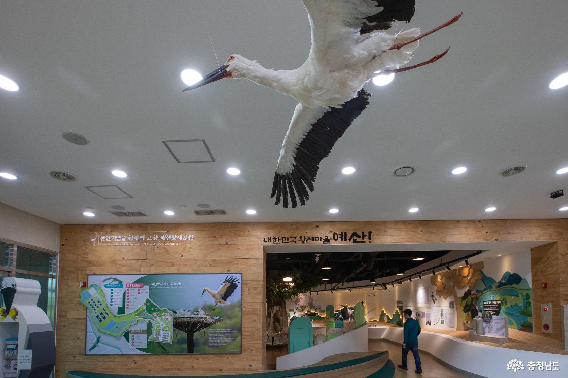 6 황새문화관 전시실