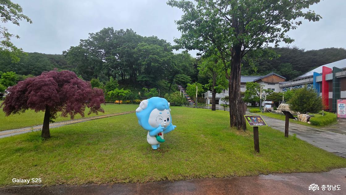 청양백제문화체험박물관 