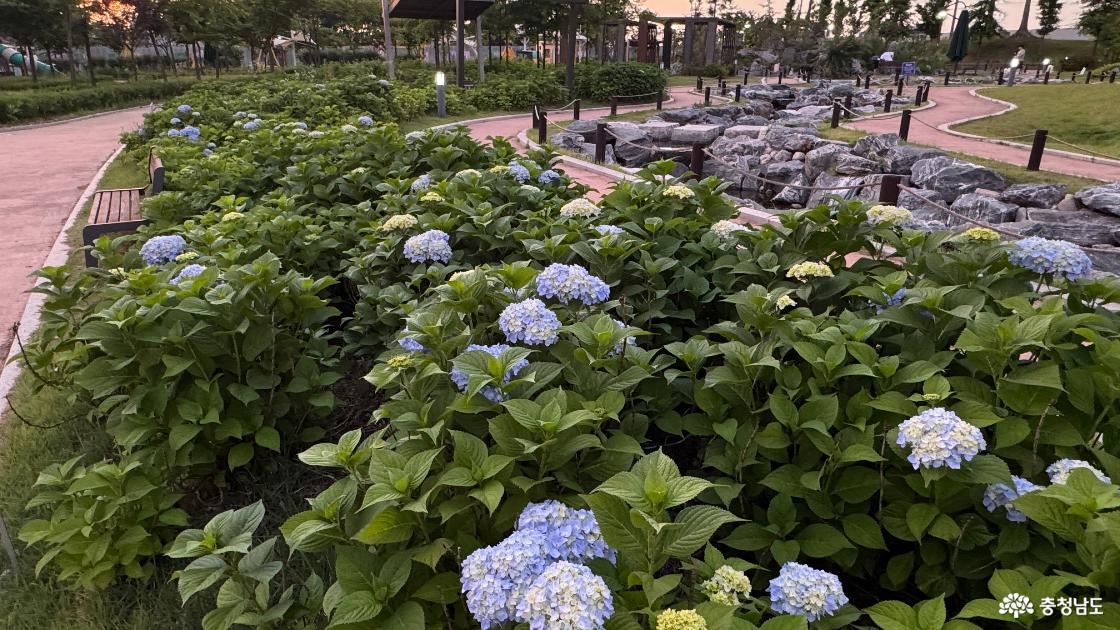성성호수공원 주차장 야경 놀이터 산책하기 좋은 천안 가볼만한곳 후기