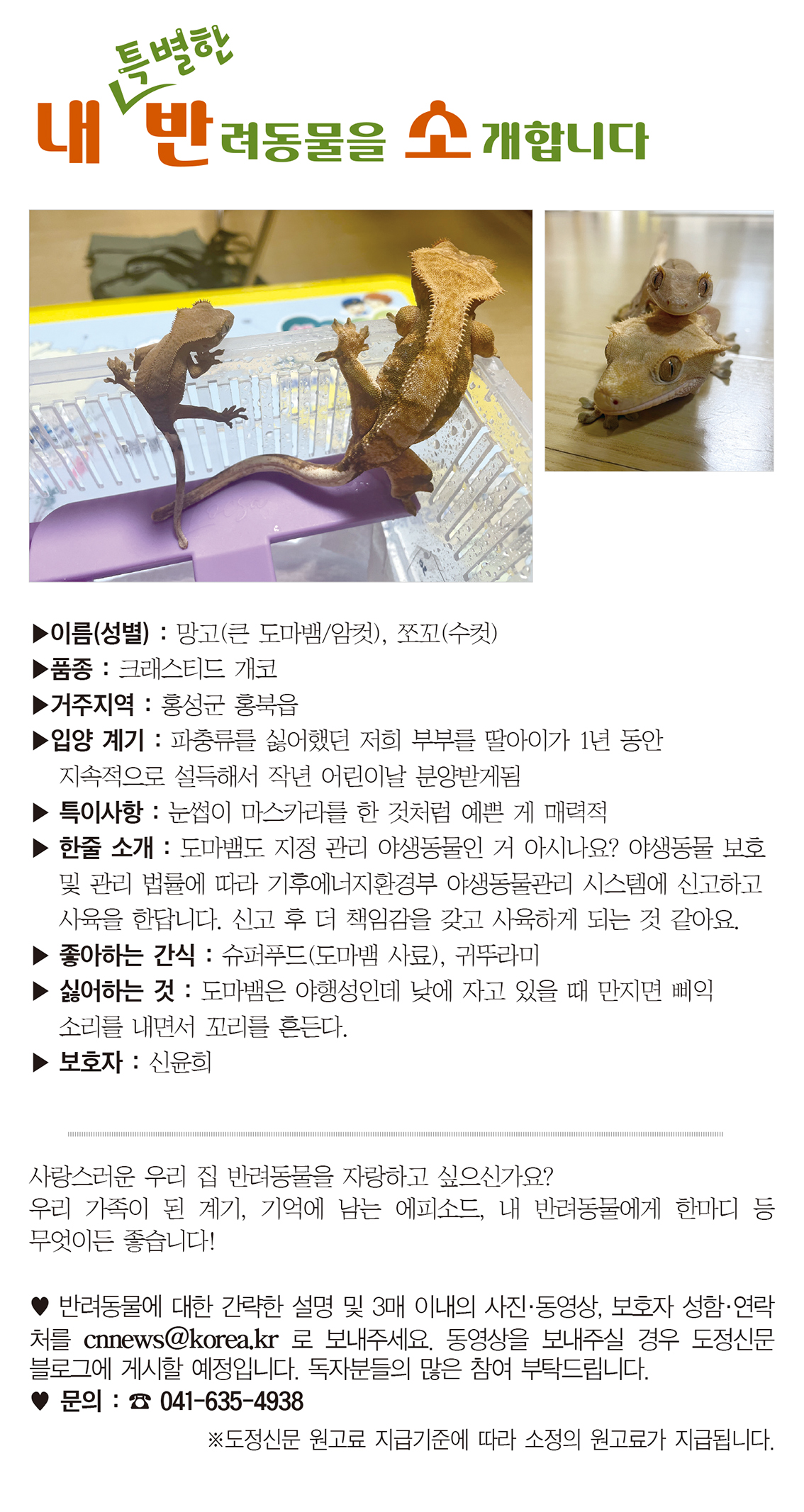 내 특별한 반려동물을 소개합니다