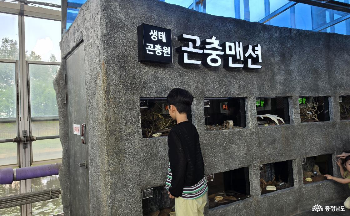아산 생태곤충원 곤충맨션