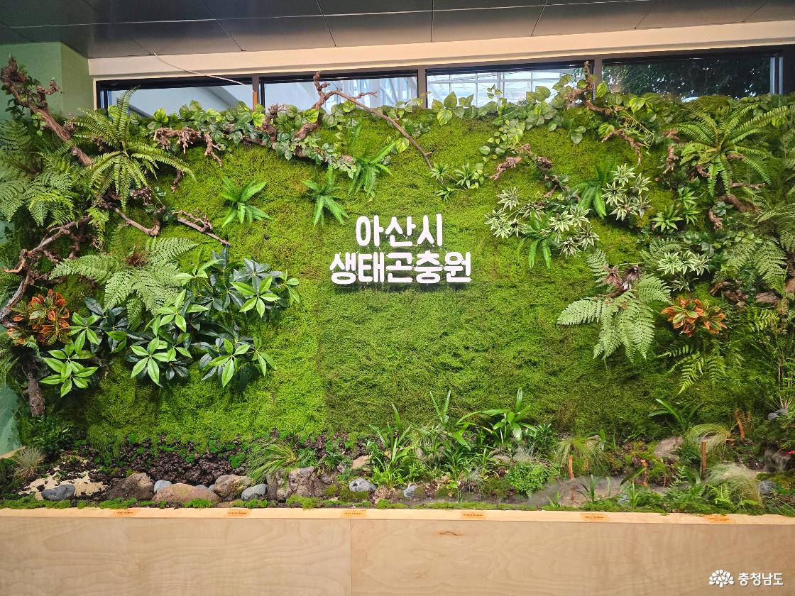 초록 식물 벽면으로 꾸며진 아산시 생태곤충원 입구 포토존 모습