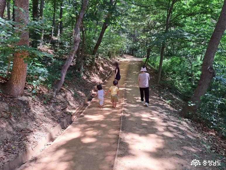 초록빛 쉼터에서 만난 힐링, 아산 용곡공원 황톳길을 걷다