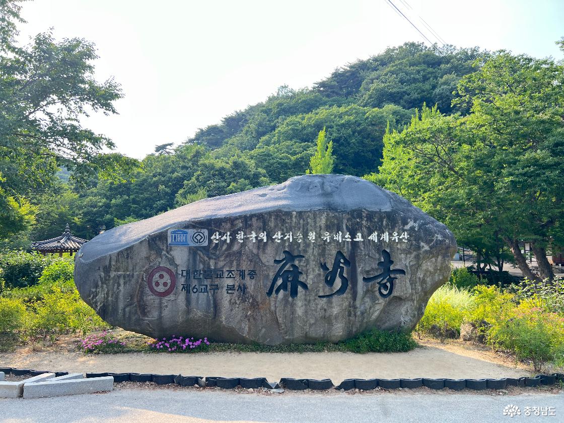 천년의 숨결을 품은 유네스코 세계유산, 공주 마곡사 6월의 풍경 스케치