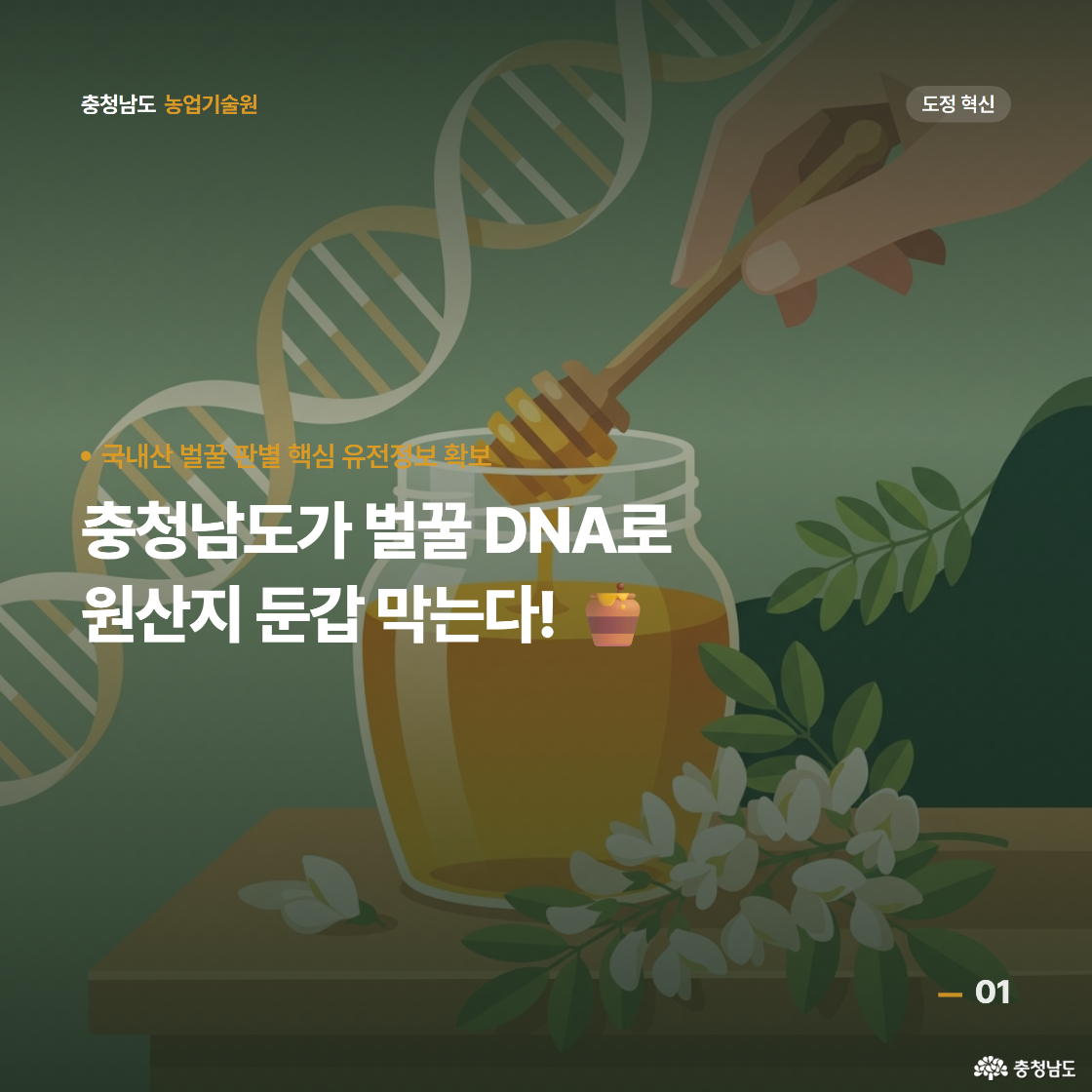 충청남도 농업기술원, 국내산 벌꿀 판별 핵심유전정보 확보. 충청남도가 벌꿀 DNA로 원산지 둔갑 막는다! 