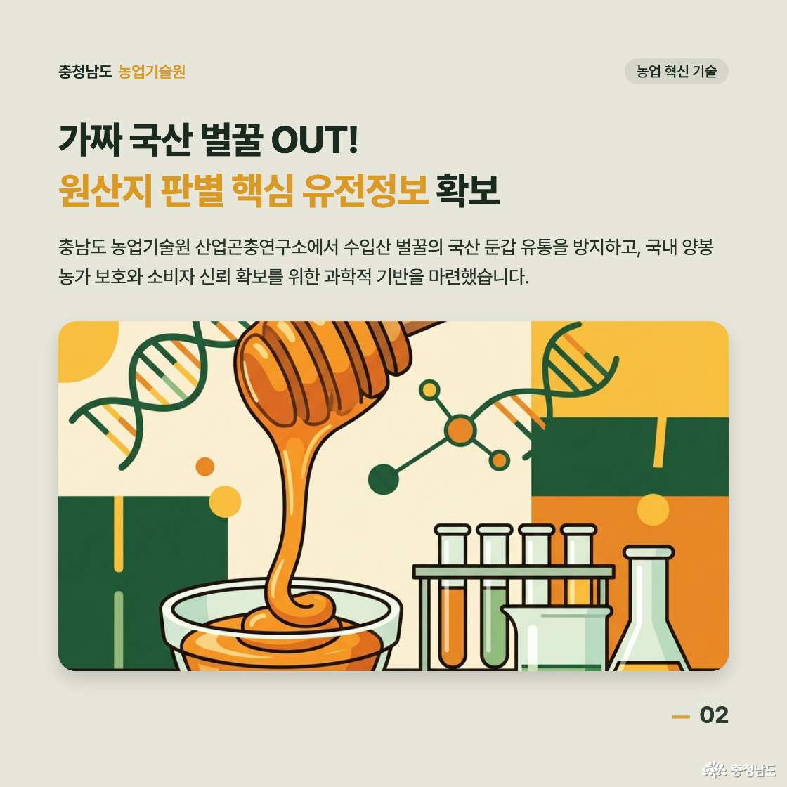 가짜 국산 벌꿀 OUT! 원산지 판별 핵심 유전정보 확보. 충남도 농업기술원 산업곤충연구소에서 수입산 벌꿀의 국산 둔갑 유통을 방지하고, 국내 양봉 농가 보호와 소비자 신뢰 확보를 위한 과학적 기반을 마련했습니다.
