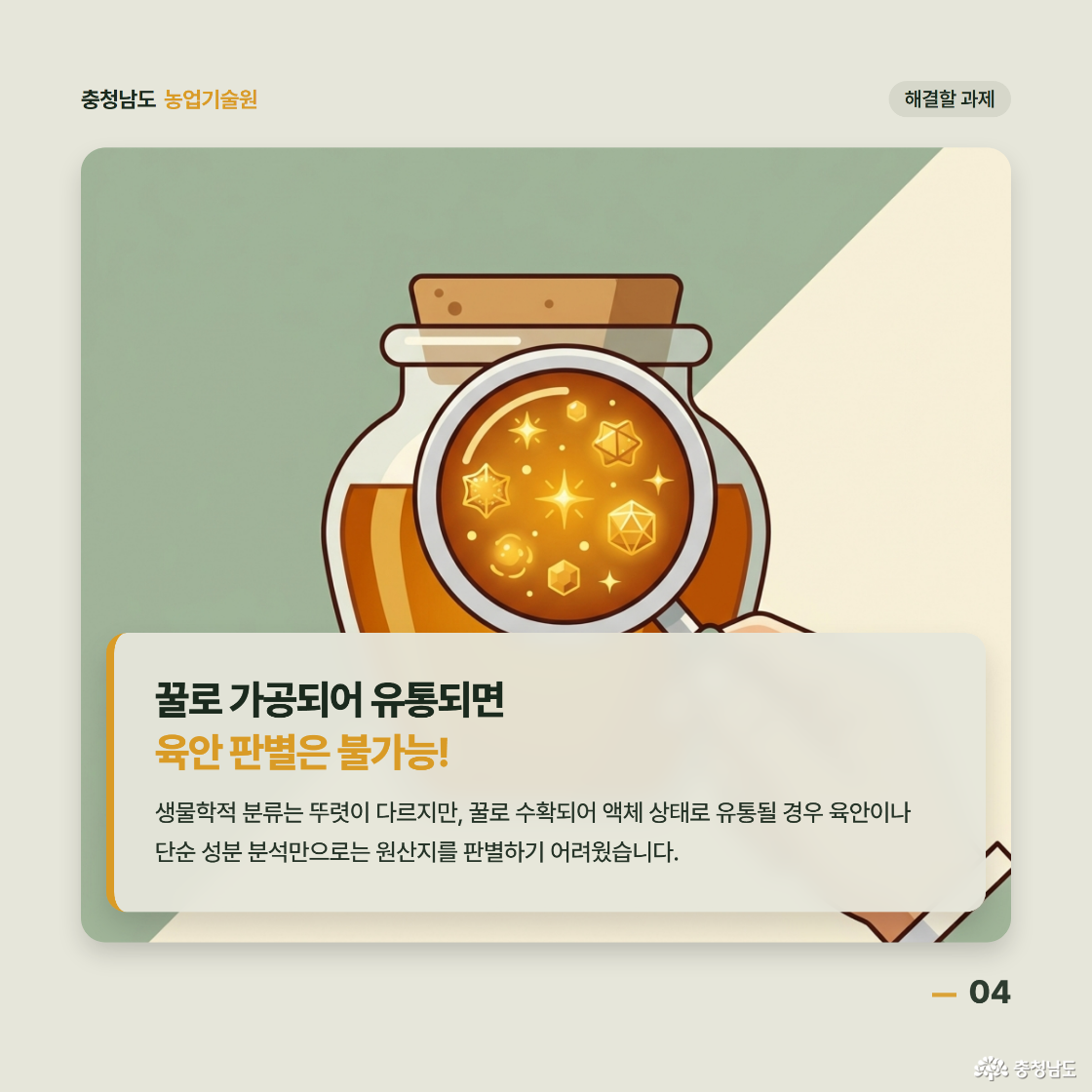 꿀로 가공되어 유통되면 육안 판별은 불가능! 생물학적 분류는 뚜렷이 다르지만, 꿀로 수확되어 액체 상태로 유통될 경우 육안이나 단순 성분 분석만으로는 원산지를 판별하기 어려웠습니다.