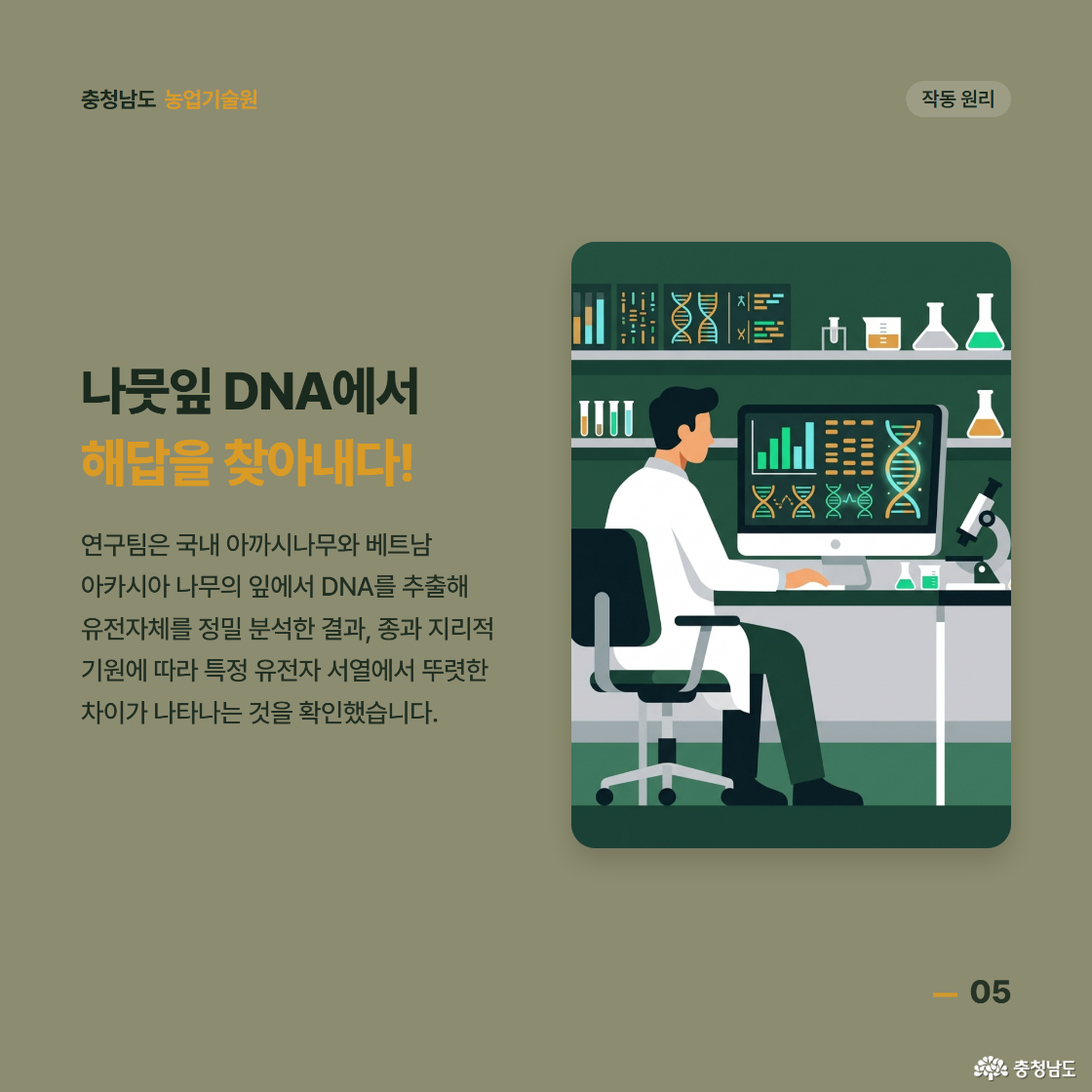 나뭇잎 DNA에서 해답을 찾아내다! 연구팀은 국내 아까시나무와 베트남 아카시아 나무의 잎에서 DNA를 추출해 유전자체를 정밀 분석한 결과 종과 지리적 기원에 따라 특정 유전자 서열에서 뚜렷한 차이가 나타나는 것을 확인했습니다.