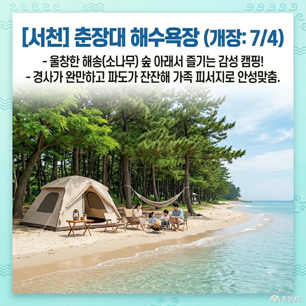 2026 충남 대표 해수욕장 TOP 7 개장 일정