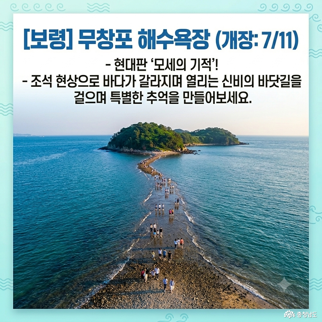 2026 충남 대표 해수욕장 TOP 7 개장 일정