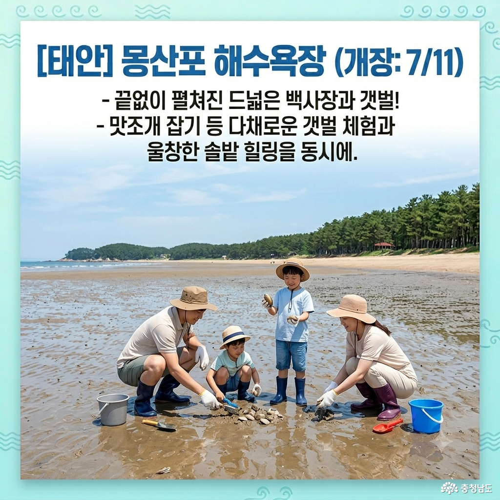 2026 충남 대표 해수욕장 TOP 7 개장 일정