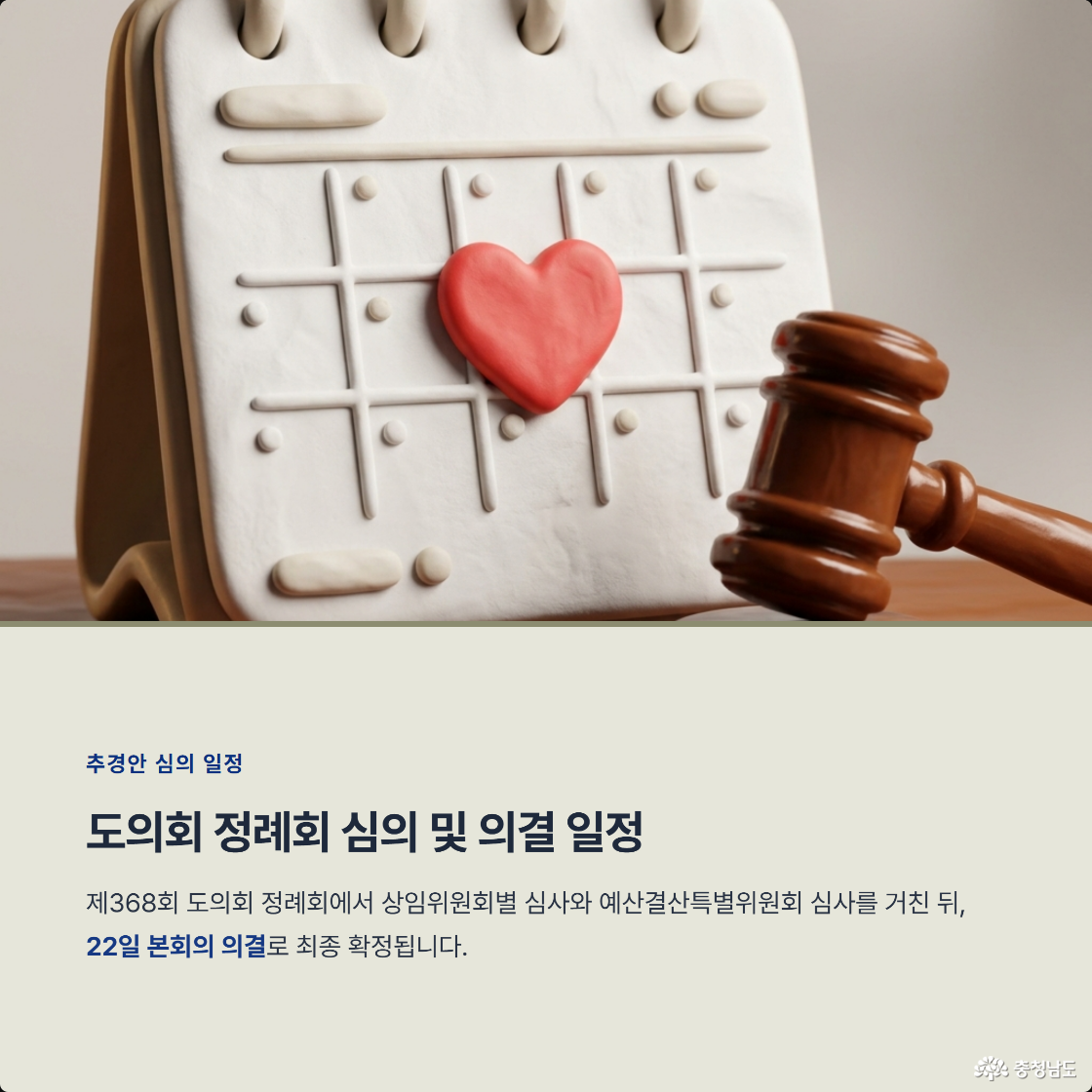 도의회 정례회 심의 및 의결 일정. 제368회 도의회 정례회에서 상임위원회별 심사와 예산결산특별위원회 심사를 거친 뒤, 22일 본회의 의결로 최종 확정됩니다.
