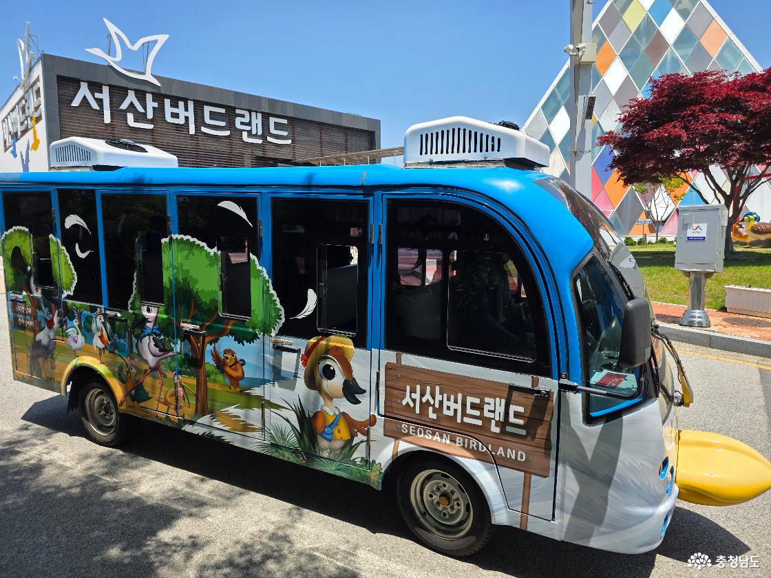 아이와 서산 가볼만한곳 찾으신다면? 천연기념물 황새 볼 수 있는 서산버드랜드
