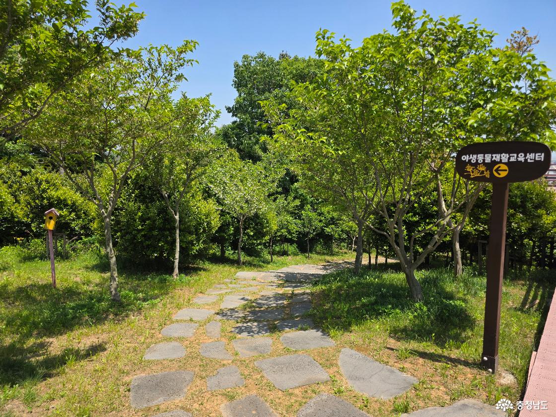 서산 버드랜드 산책로