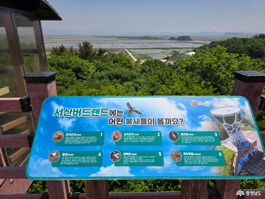 서산 버드랜드 야외 전망대