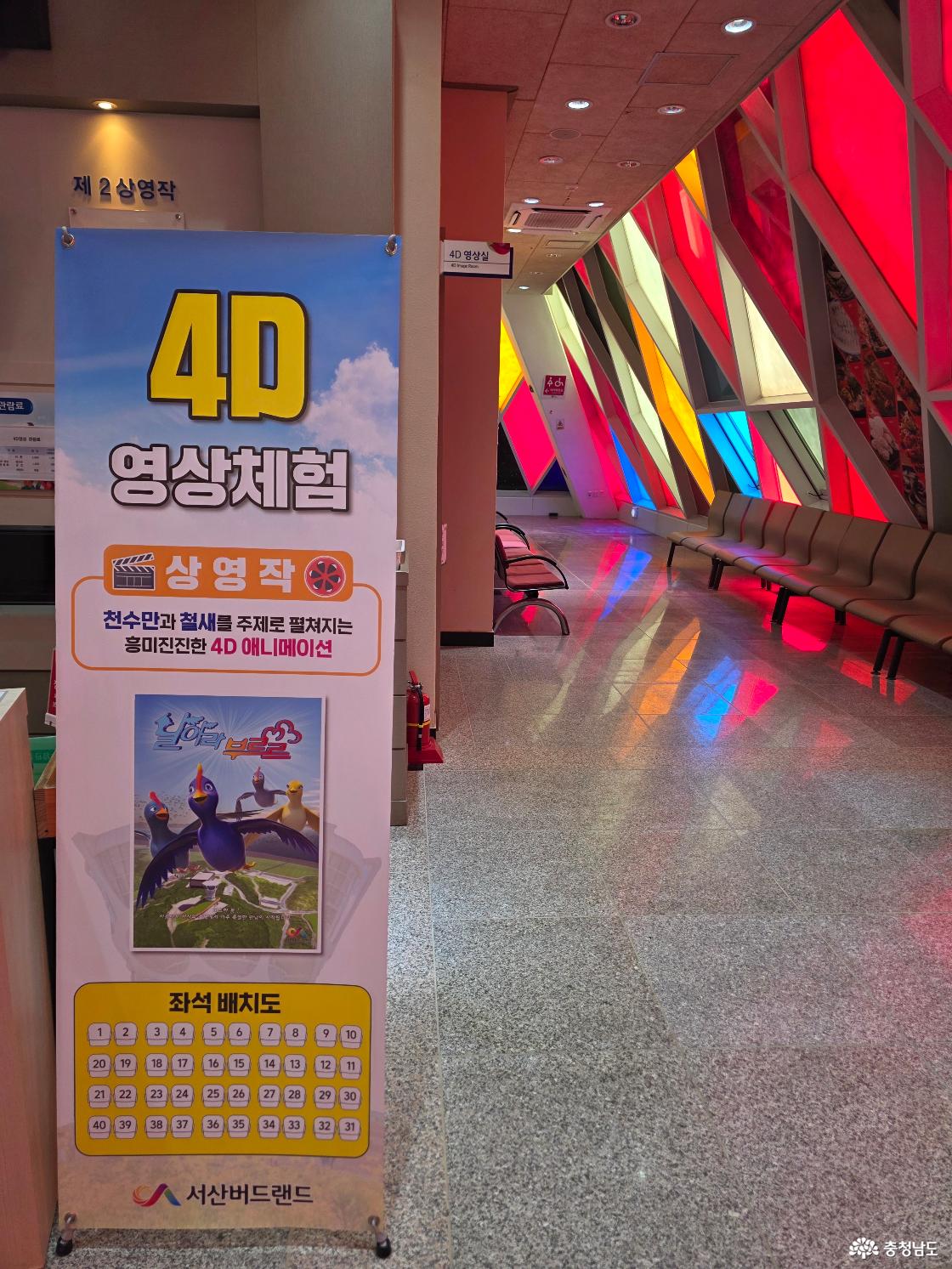 4D 영상체험