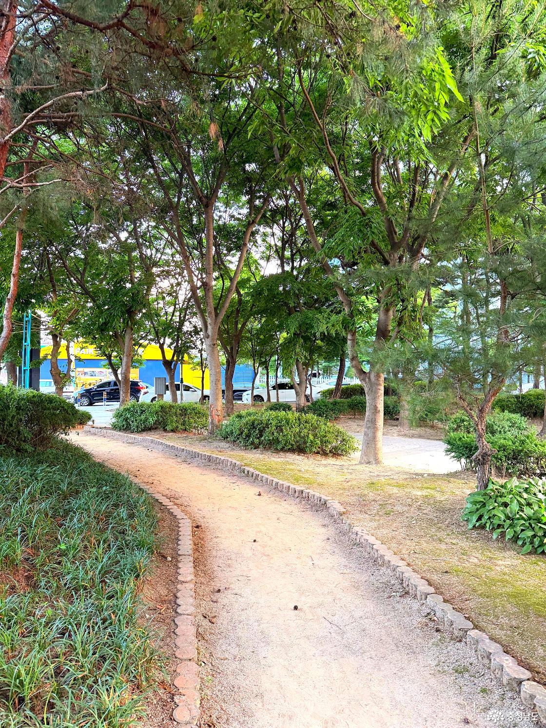 산책로4