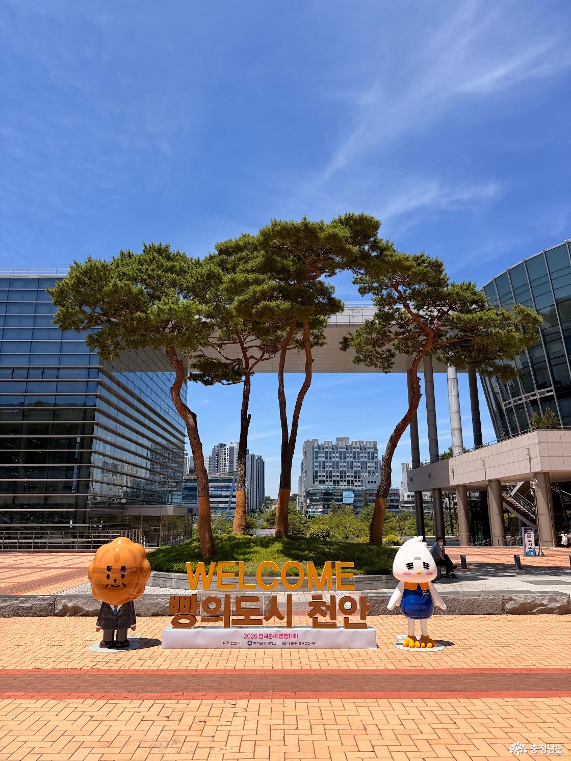 빵지순례