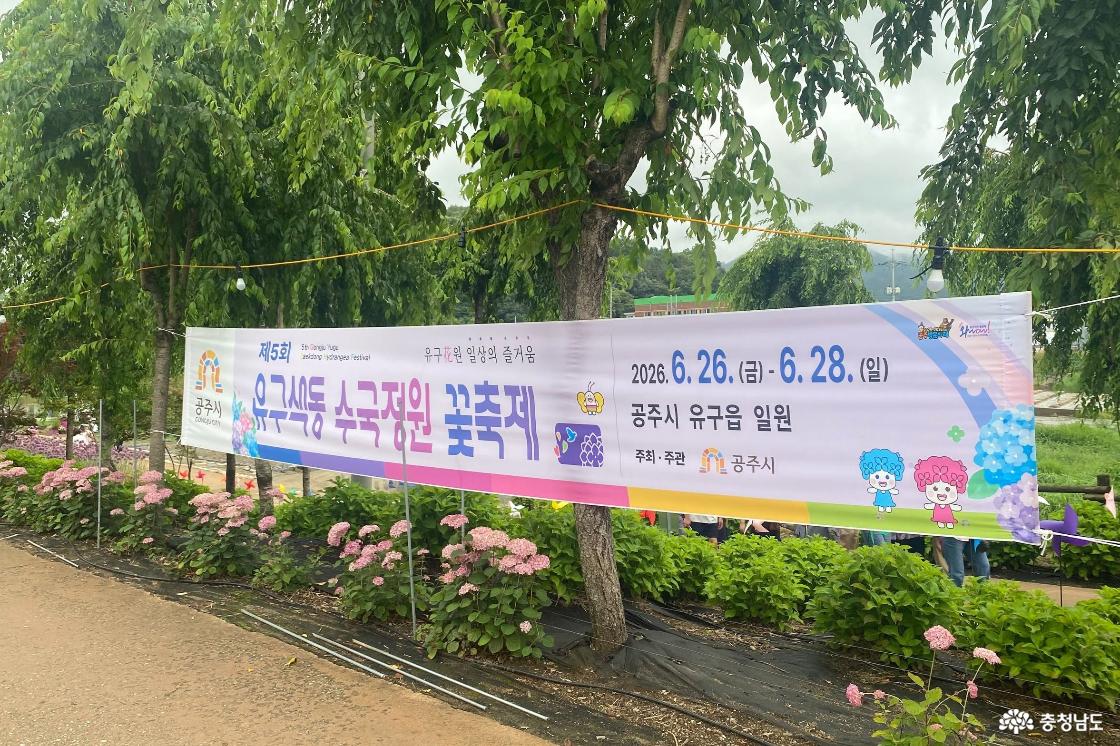유구 수국 축제