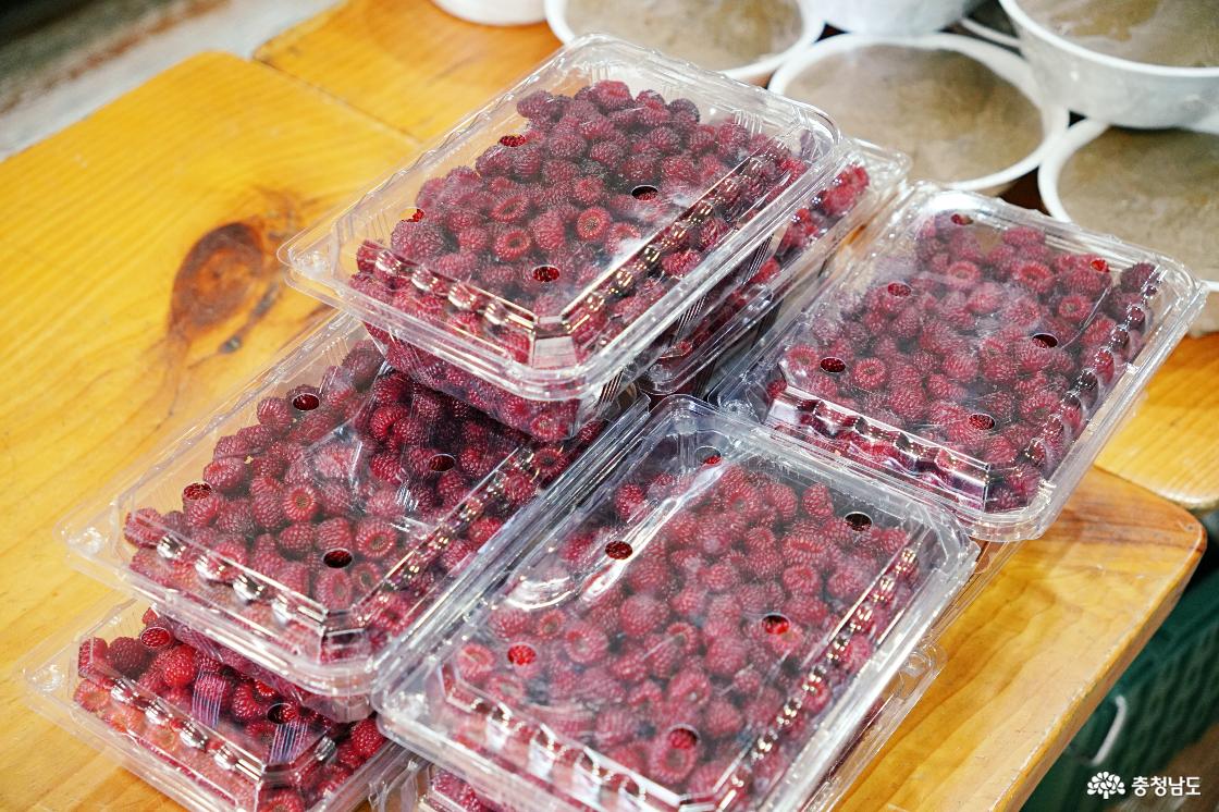 청양 칠갑산 맛집