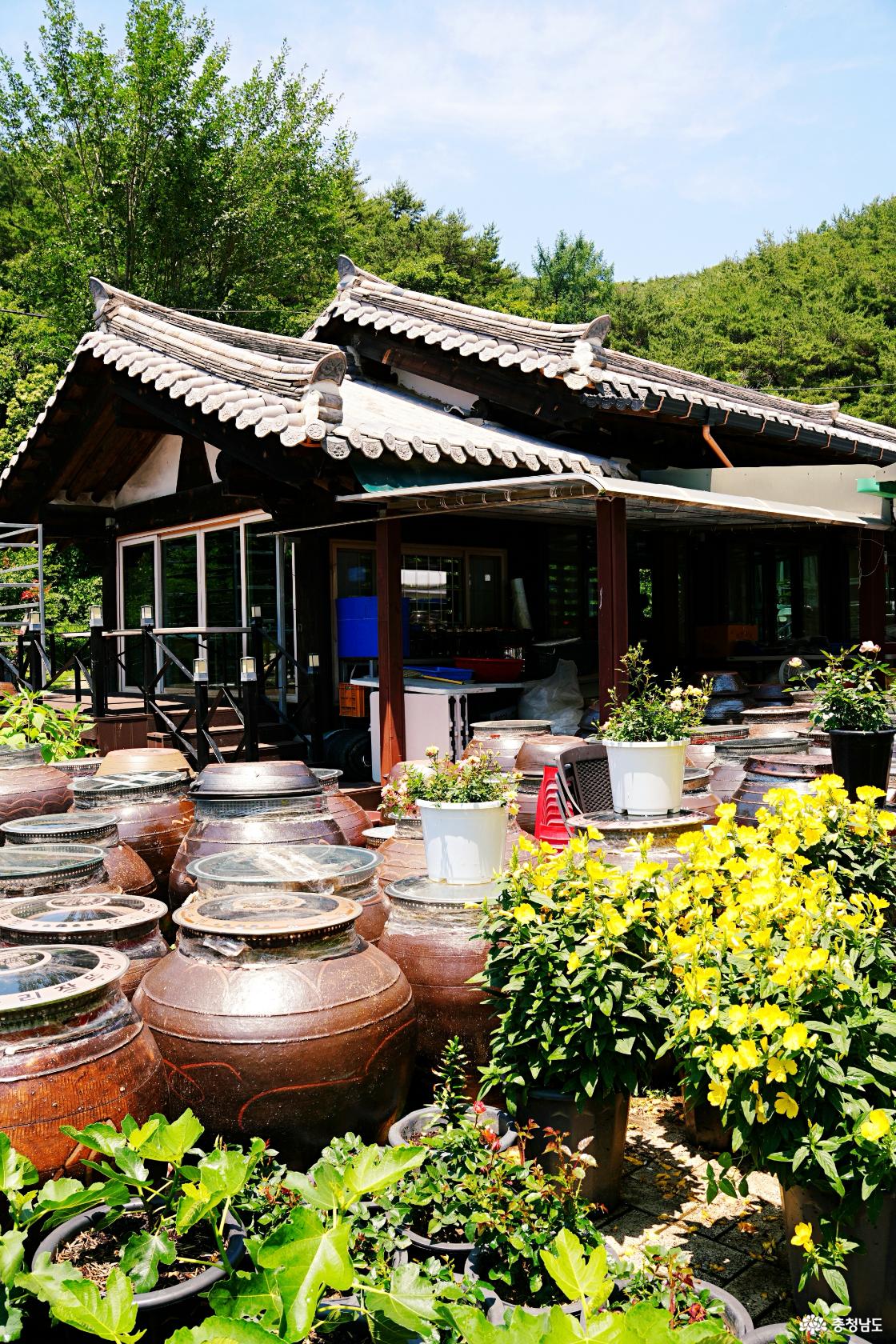 청양 칠갑산 맛집