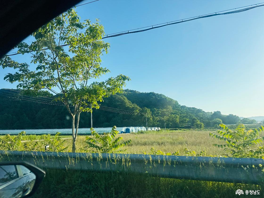 여유로운 청양 도로