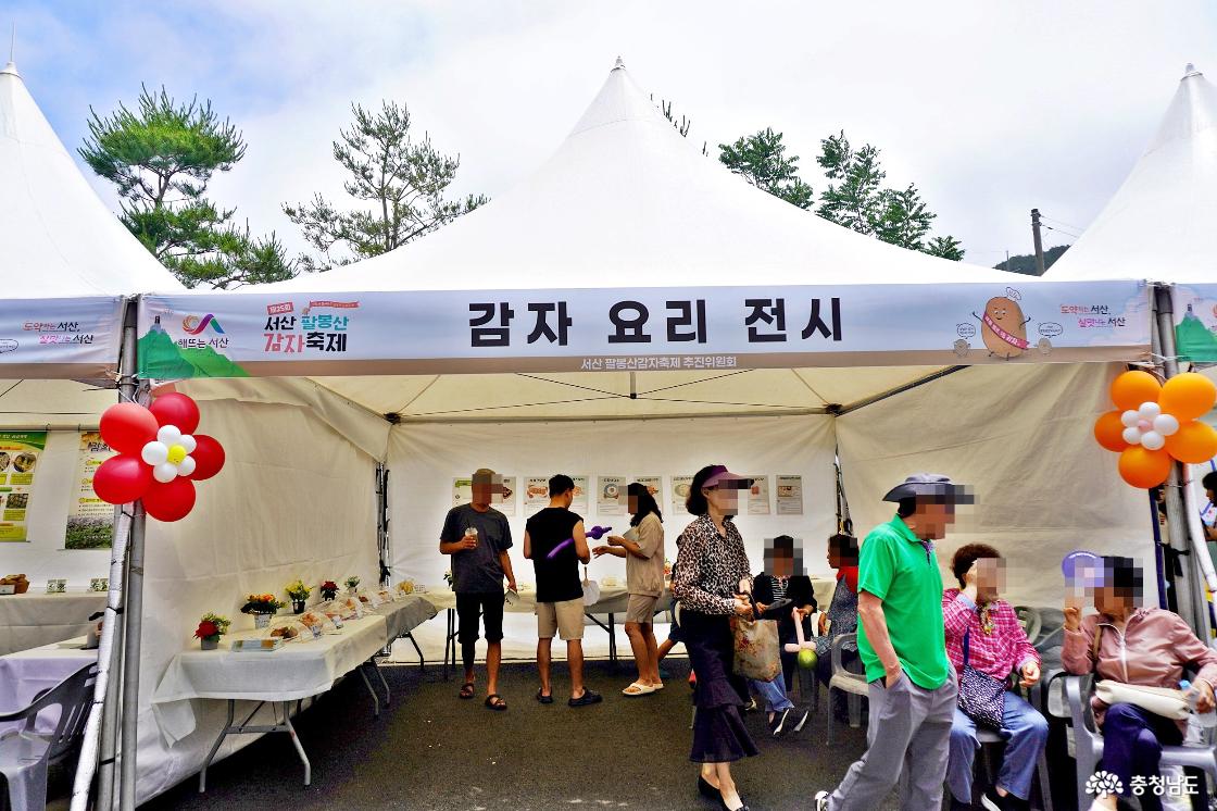 감자요리 전시