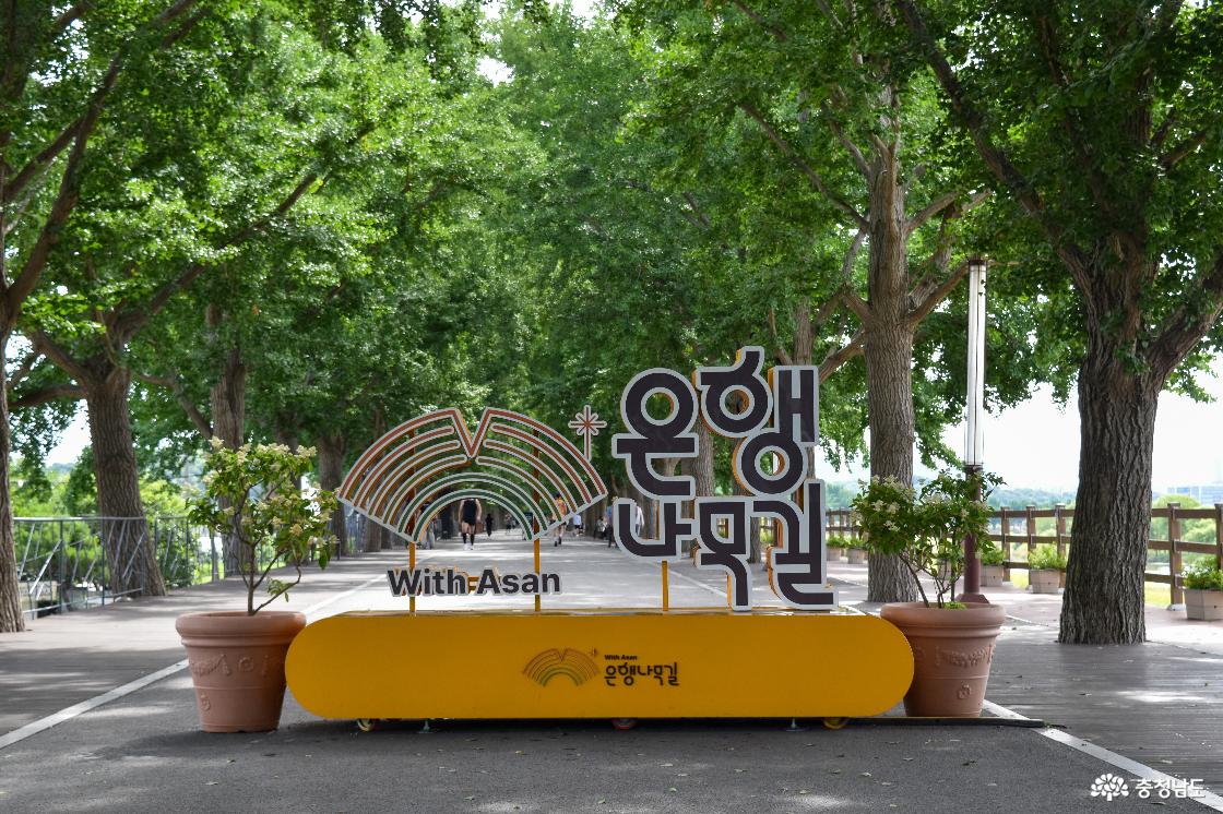 은행나무길 입구 포토존