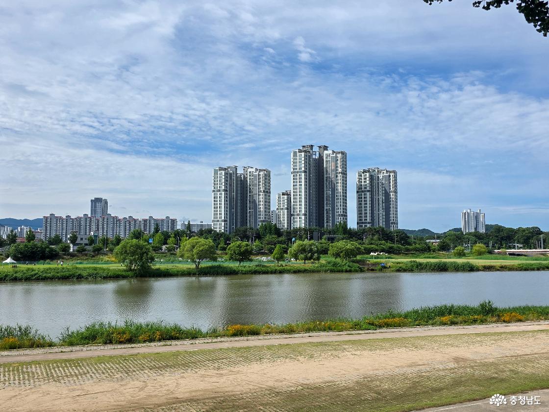 곡교천 너머 아파트 풍경