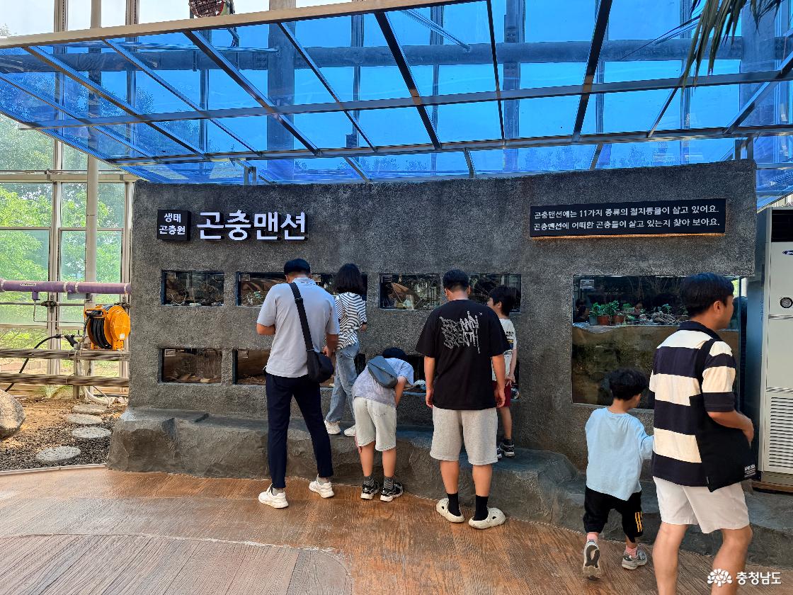 생태곤충원 반딧불이 특별전