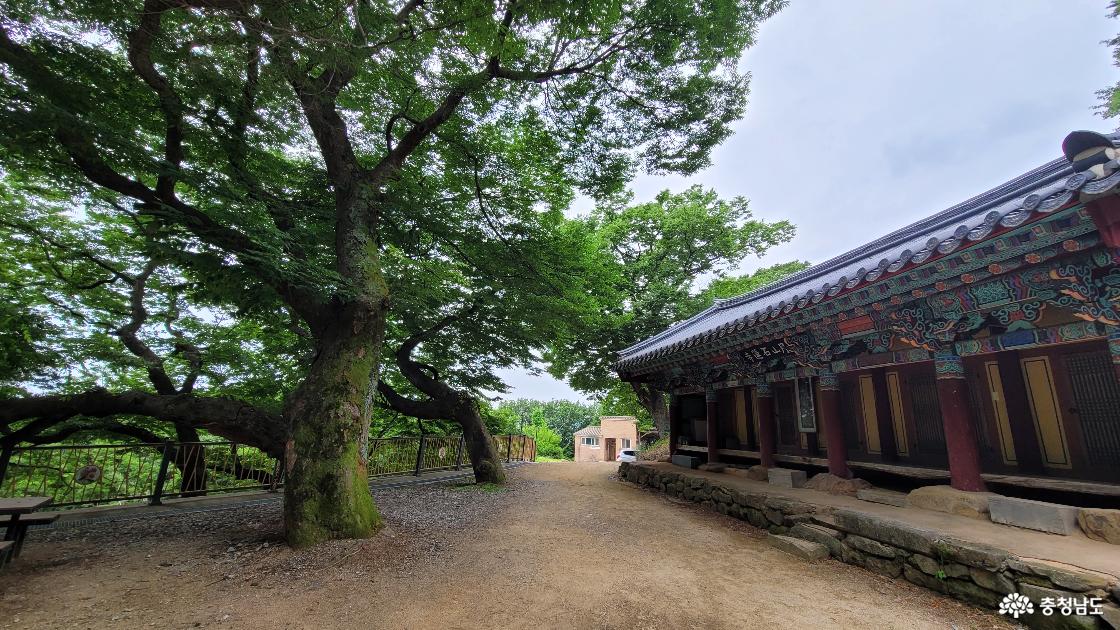 전통사찰 홍성 석련사 전경.