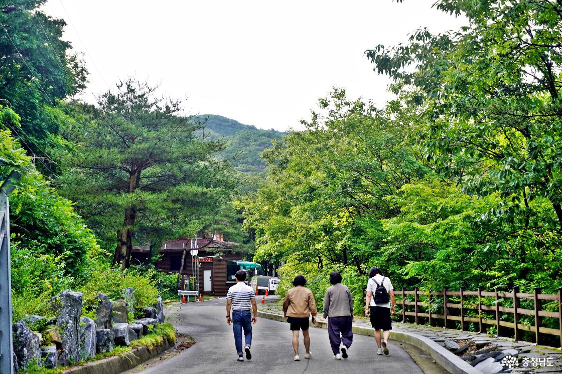 서산용현자연휴양림 백제의미소길