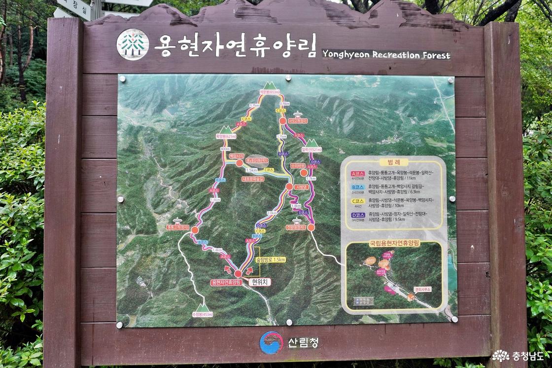용현자연휴양림