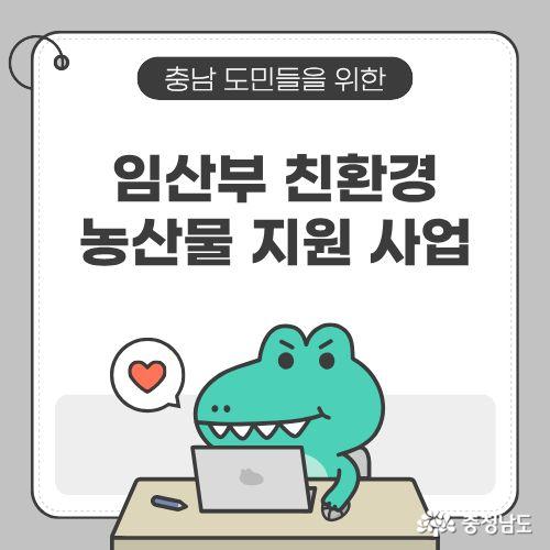 임산부 친환경 농산물 지원 사업에 대해 설명할 예정이다.