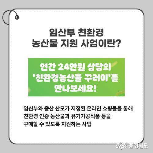 임신부와 출산 산모가 지정된 온라인 쇼핑몰을 통해 친환경 인증 농산물과 유기가공식품 등을 구매할 수 있도록 지원하는 사업