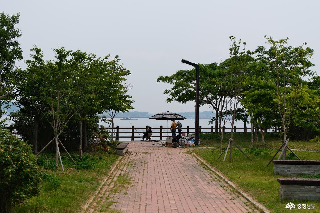 주말이면 낚시와 나들이를 즐기러 오는 관광객들이 많다. 