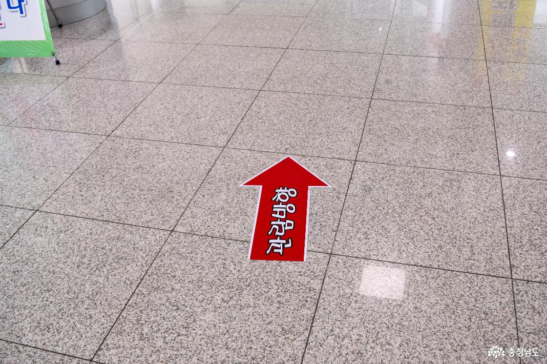 바닥 관람동선 표시 스티커