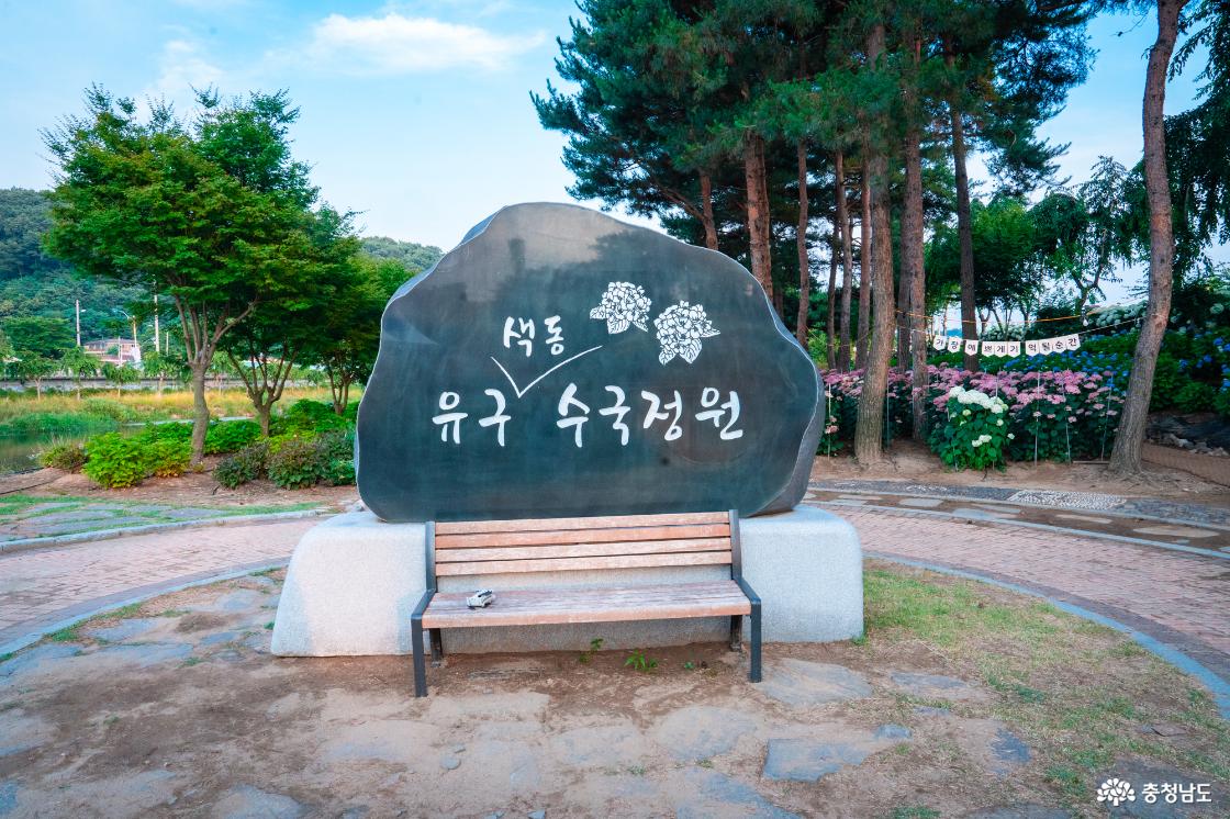 유구색동수국축제 미리가본 축제정보