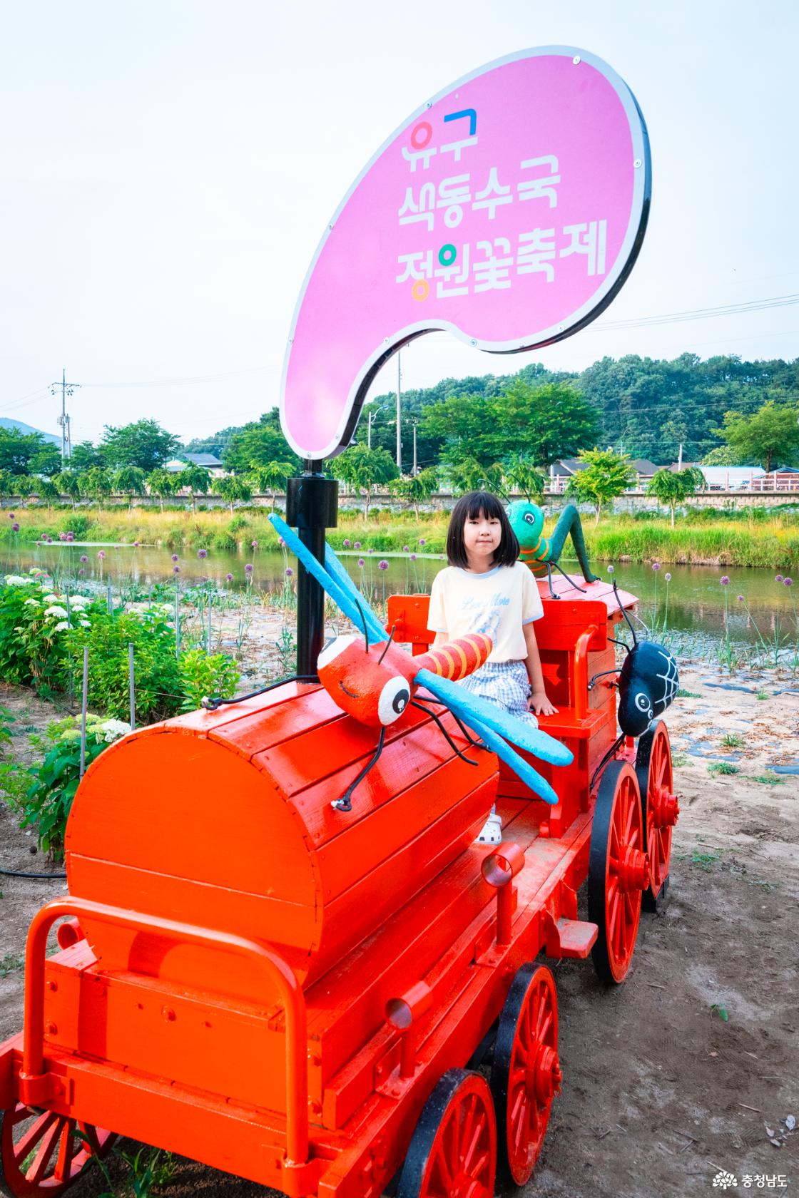 유구색동수국축제 미리가본 축제정보