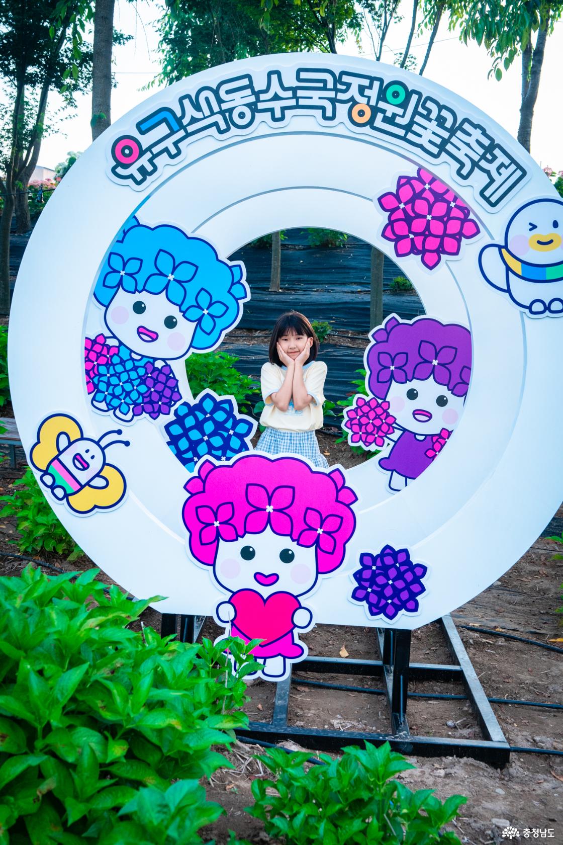 유구색동수국축제 미리가본 축제정보