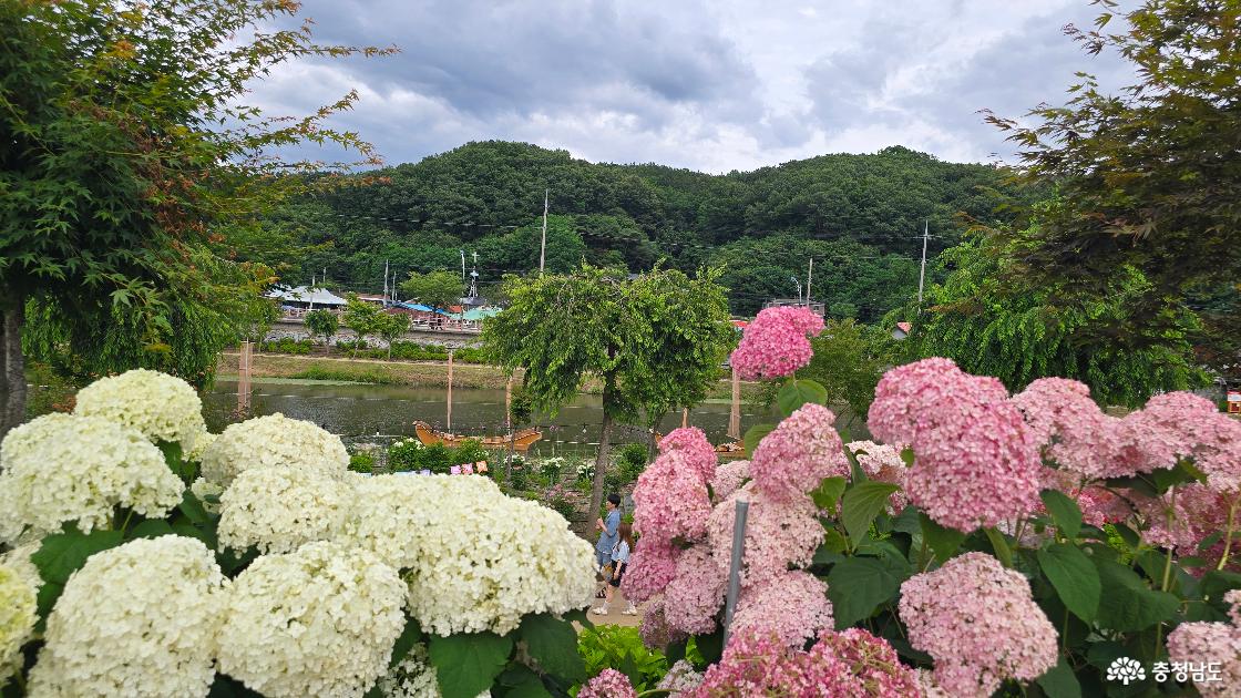 꽃이 핀 곳에는 남녀노소를 가리지 않고 사람들이 찾아옵니다.