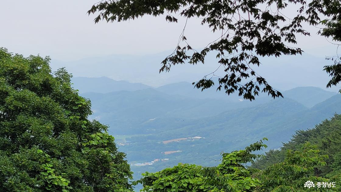 충남 홍성군 전통사찰 내원사에서 바라본 초여름 오서산 풍광.
