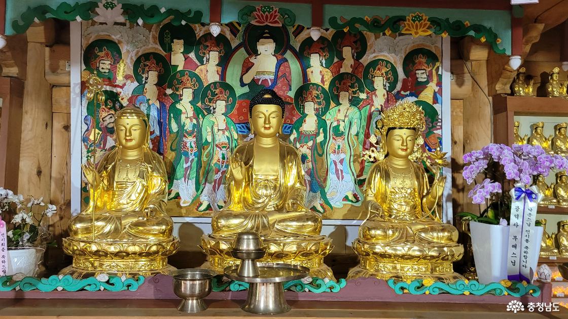 충남 홍성군 전통사찰 내원사 극락보전 삼존불.