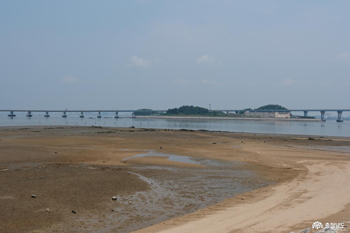 서해대교와 서해바다가 한 눈에 들어온다. 