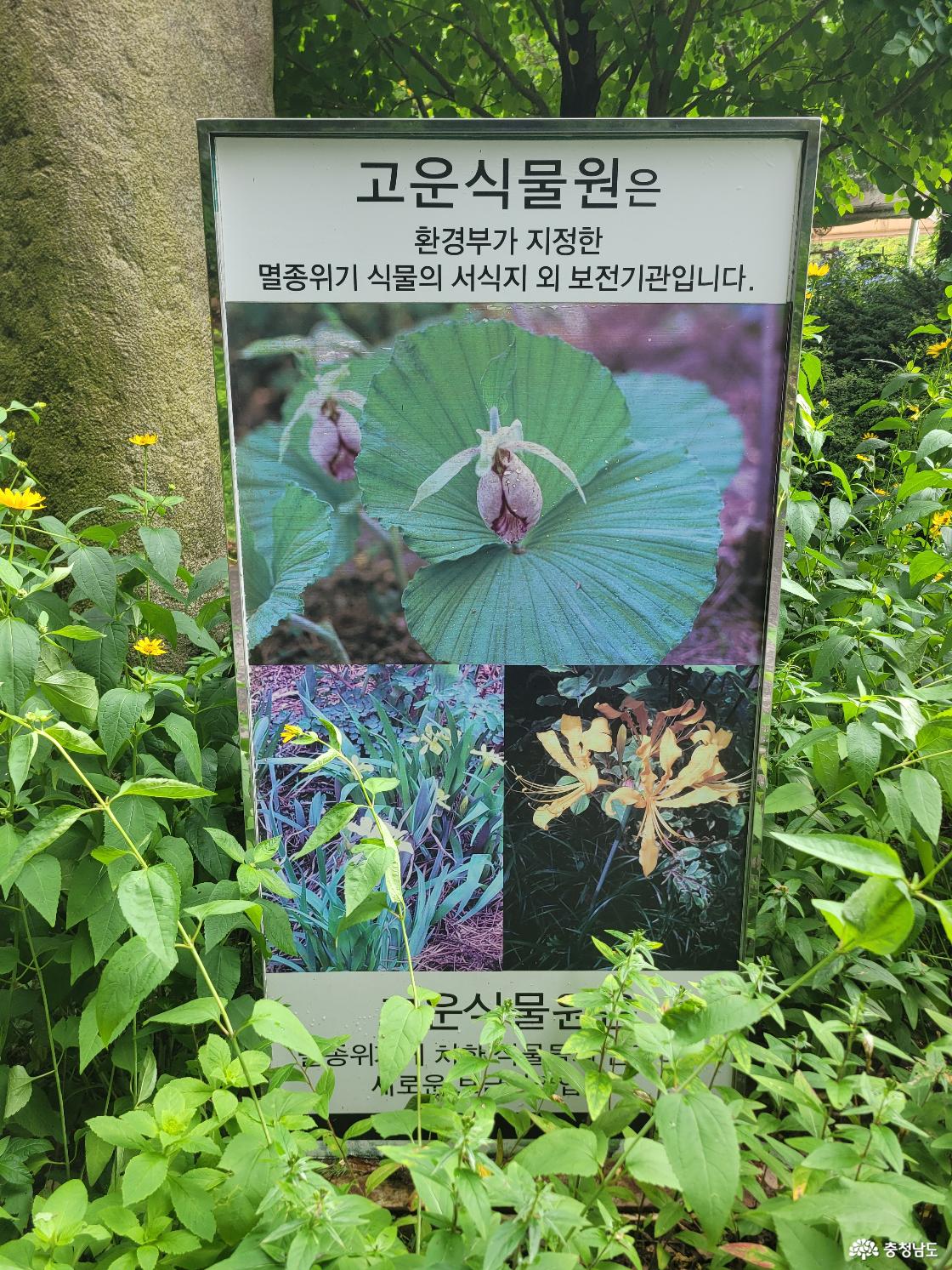 고운식물원 